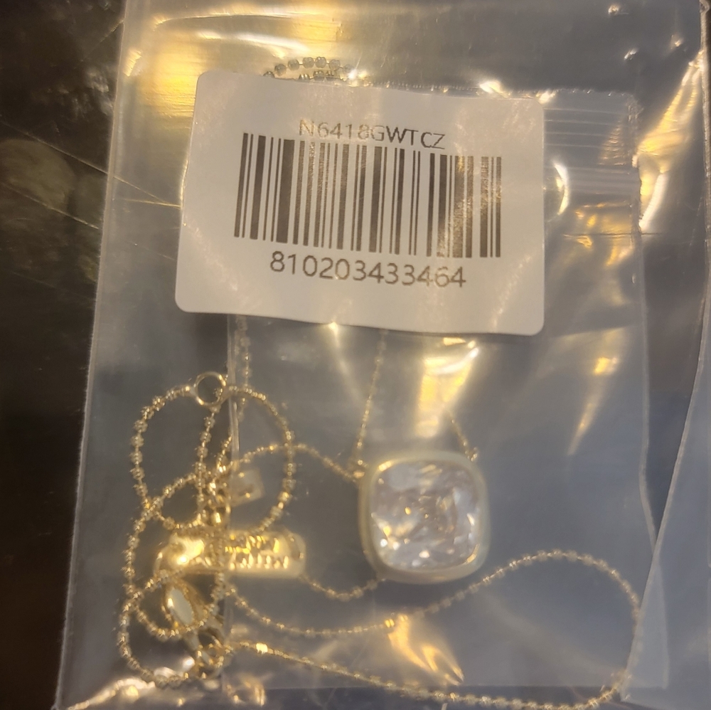 Elegant Silver Or Gold  Necklace with Clear Pendant New Melinda MARIA No Offer